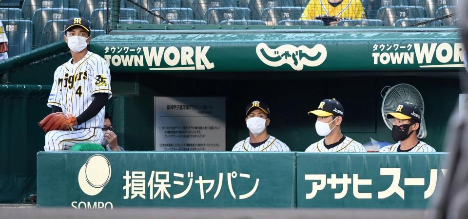 ベンチ内でマスクを着用する阪神ナイン（撮影・飯室逸平）