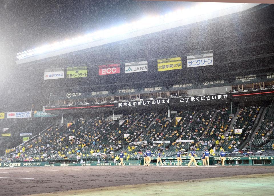 降雨のため試合中断となる甲子園（撮影・飯室逸平）