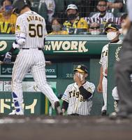 ７回、青柳に代打を送った矢野監督（撮影・飯室逸平）