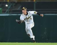 　９回、阿部の打球を好捕する近本（撮影・田中太一）