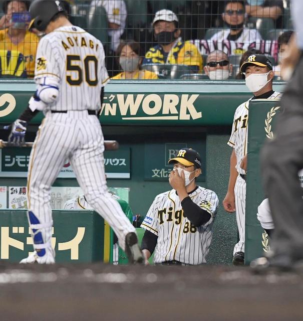 阪神・矢野監督が明かす近本ベンチの意義「試合を見ることで悔しさとか…」