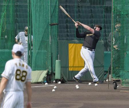 　矢野監督が見守る中、打撃練習するボーア（撮影・飯室逸平）