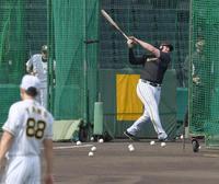 　矢野監督が見守る中、打撃練習するボーア（撮影・飯室逸平）