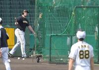 　矢野監督が見守る中、打撃練習するボーア（撮影・飯室逸平）