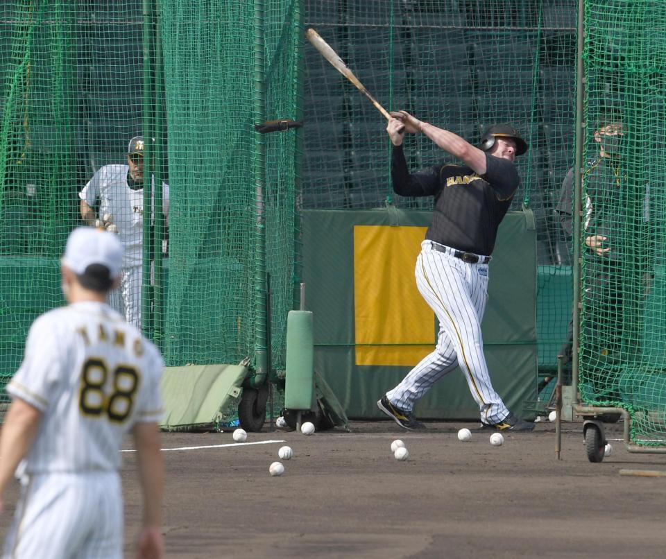 　矢野監督が見守る中、打撃練習するボーア（撮影・飯室逸平）