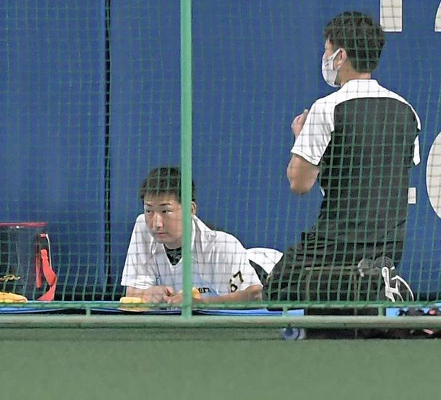 阪神・岩崎が左肘の張りで出場選手登録を抹消　貴重な中継ぎ左腕