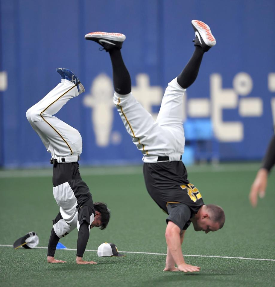並んで逆立ちをする（左から）近本光司とサンズ（撮影・田中太一）