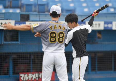 試合前練習で矢野監督（左）から打撃指導を受ける木浪（撮影・西岡正）