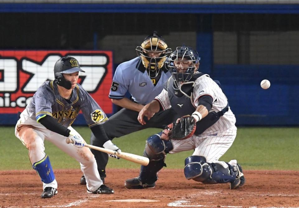 ３回、バント安打をきめる阪神・近本（撮影・金田祐二）