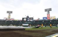 試合前、グラウンドにシートが敷かれる阪神甲子園球場（撮影・北村雅宏）