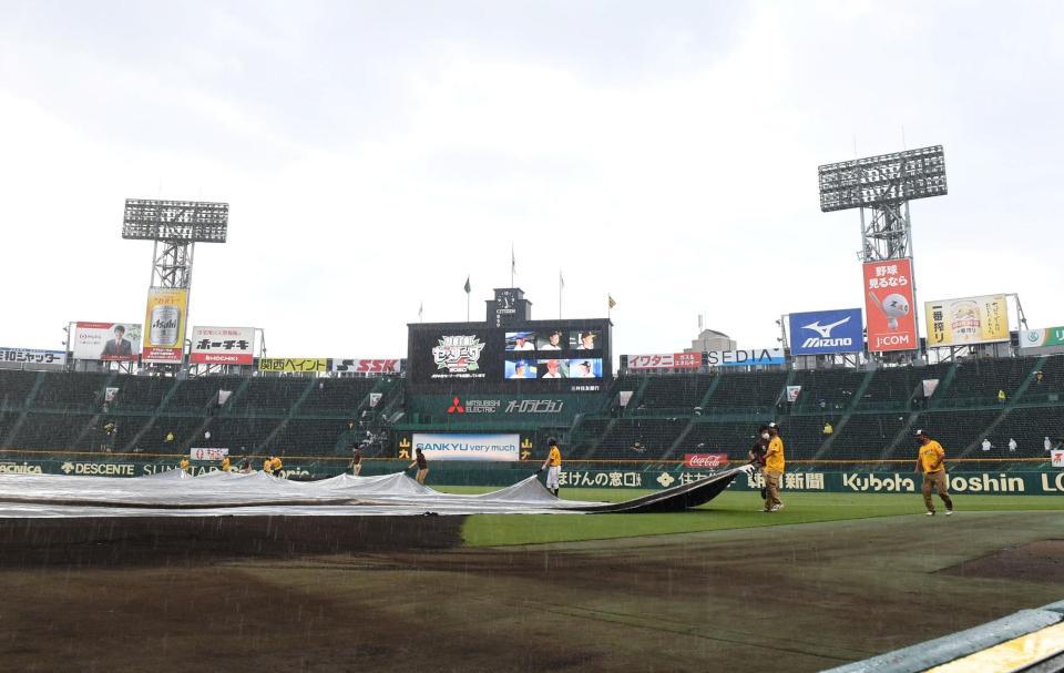 試合前、グラウンドにシートが敷かれる阪神甲子園球場（撮影・北村雅宏）