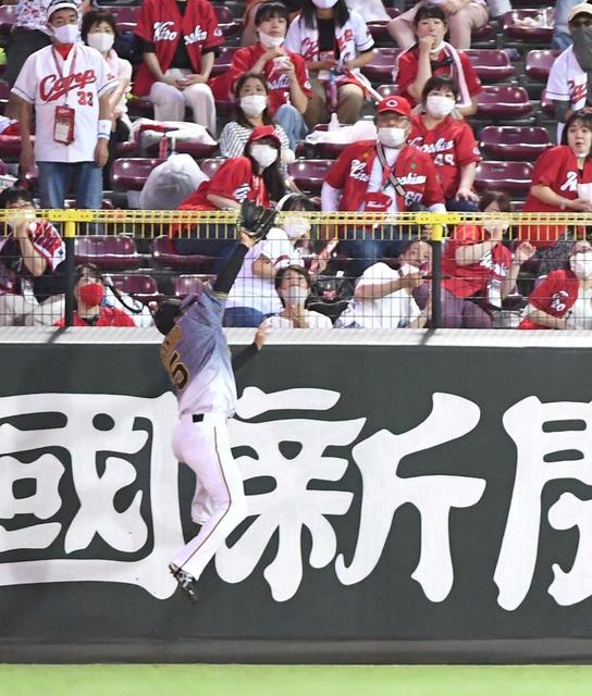 【写真】近本のキャッチ―観客逃げてもフェンス恐れず