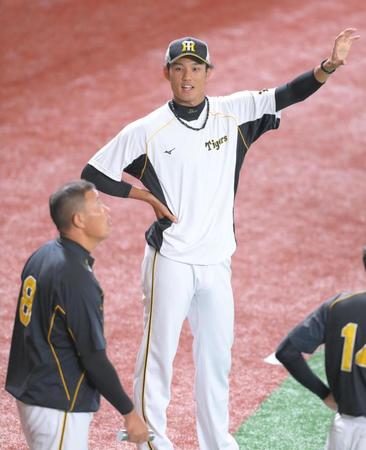 試合前の練習中に福留（手前）と話す阪神・藤浪＝東京ドーム（撮影・堀内翔）