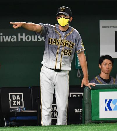 ８回、代打を告げる阪神・矢野燿大監督＝東京ドーム（撮影・西岡正）
