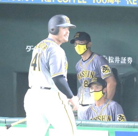 ２回、捕邪飛に倒れたボーア（手前）を見つめる矢野監督＝東京ドーム（撮影・堀内翔）