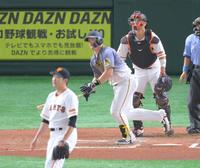 ６回、サンズは右飛に倒れる（投手・菅野）＝撮影・堀内翔