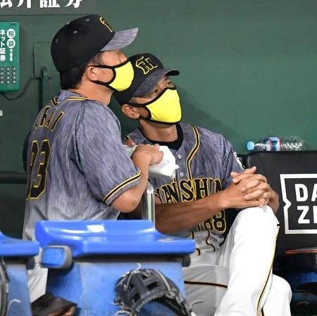 ８回、新井コーチ（左）と話しながら厳しい表情でグラウンドを見る矢野監督（撮影・西岡正）