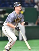 ８回、右飛に凡退する阪神・サンズ＝東京ドーム（撮影・西岡正）