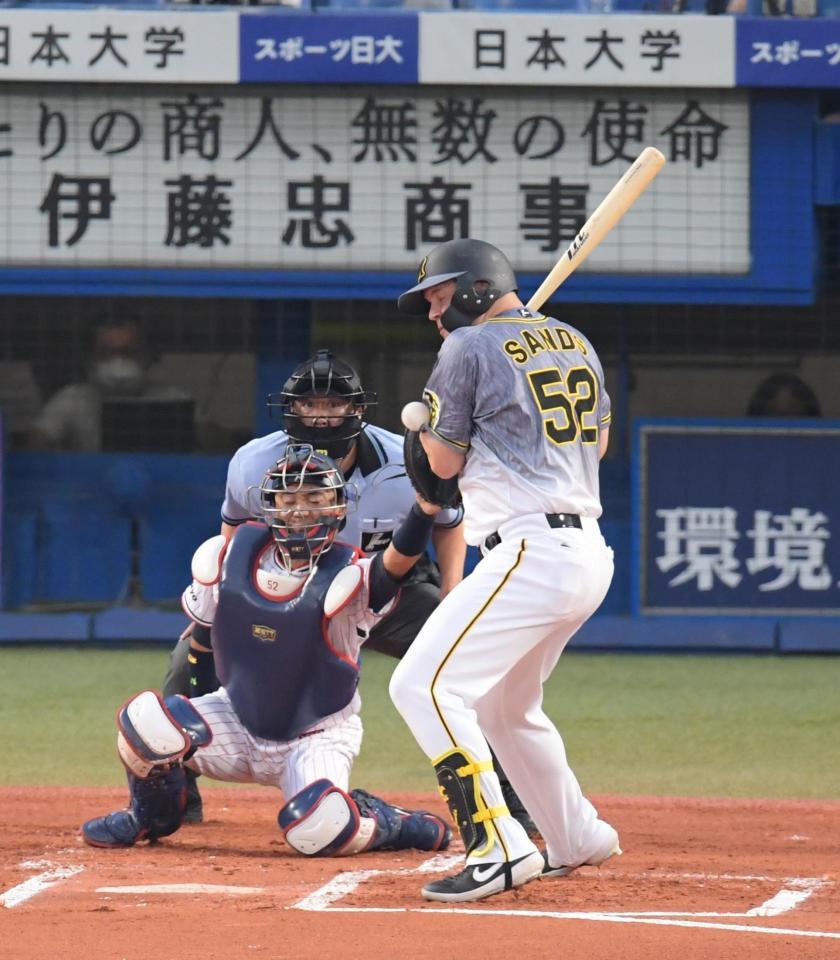 　１回、死球を受ける阪神・サンズ（撮影・金田祐二）