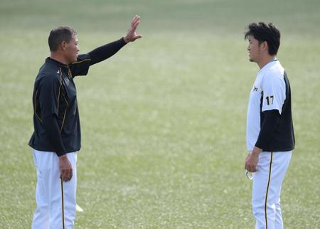 練習中、話し込む福留（左）と岩貞＝神宮（撮影・金田祐二）