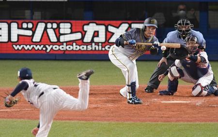 ５回、スクイズをきめる秋山（撮影・金田祐二）