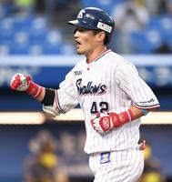 １回ヤクルト無死、同点ソロを放ち、生還するヤクルト・坂口智隆＝神宮球場（撮影・中田匡峻）