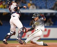 ５回、秋山のスクイズで生還する木浪（右）＝（撮影・中田匡峻）