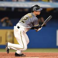 ５回、安打を放つ阪神・坂本＝神宮球場（撮影・中田匡峻）