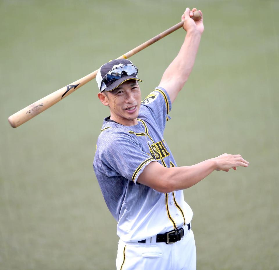 バットを振る矢野監督＝神宮（撮影・田中太一）