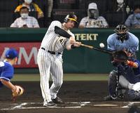 　６回、２ランを放つ阪神・ボーア＝甲子園（撮影・飯室逸平）