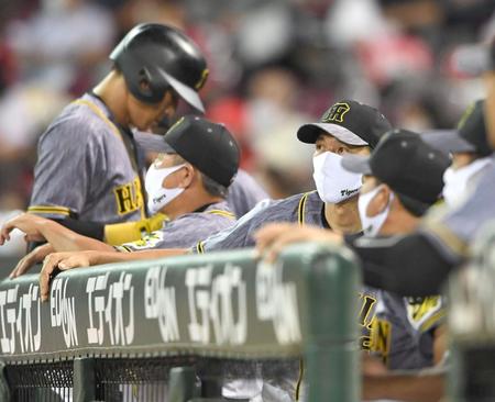 ７回、ベンチから戦況を見守る阪神・矢野監督＝マツダスタジアム（撮影・飯室逸平）