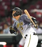 ７回、１３号ソロを放つ阪神・大山＝マツダスタジアム（撮影・飯室逸平）