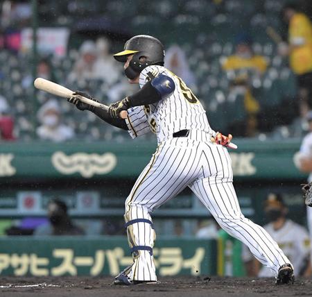 　４回、バントの構えを見せる陽川（撮影・高部洋祐）