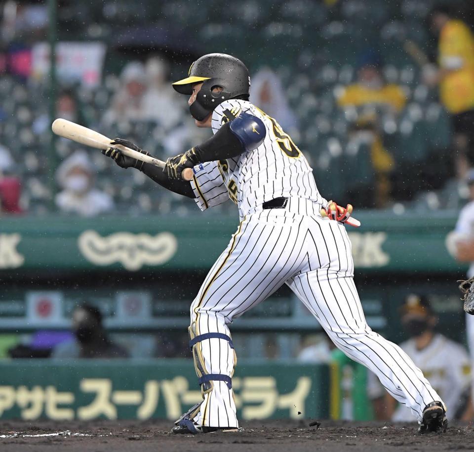 　４回、バントの構えを見せる陽川（撮影・高部洋祐）