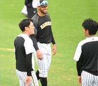 　スアレス（中）、岩貞祐太（右）らと談笑する阪神・小川一平＝甲子園