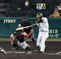 ２回阪、阪神・大山は左越えに先制ソロを放つ＝甲子園（撮影・山口登）