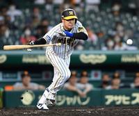 スクイズを決める西勇（撮影・田中太一）