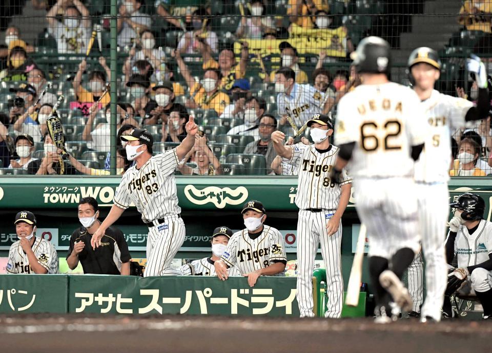 　７回、マクガフのけん制悪送球で、ベンチを出て走者を促す矢野監督ら