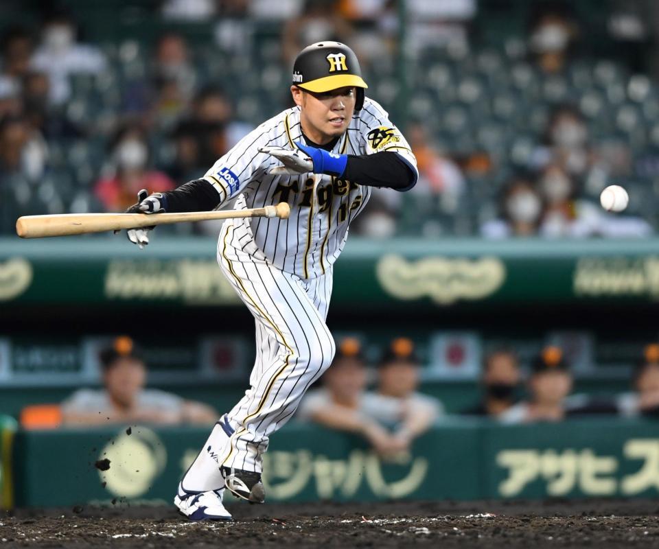 スクイズを決める西勇（撮影・田中太一）