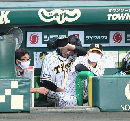 ５回、降板した阪神・藤浪晋太郎はベンチでうなだれる＝甲子園（撮影・山口登）