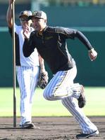 走塁練習する阪神・秋山＝甲子園（撮影・北村雅宏）