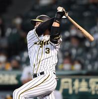 ７回、ソロを放つ阪神・大山＝甲子園（撮影・田中太一）