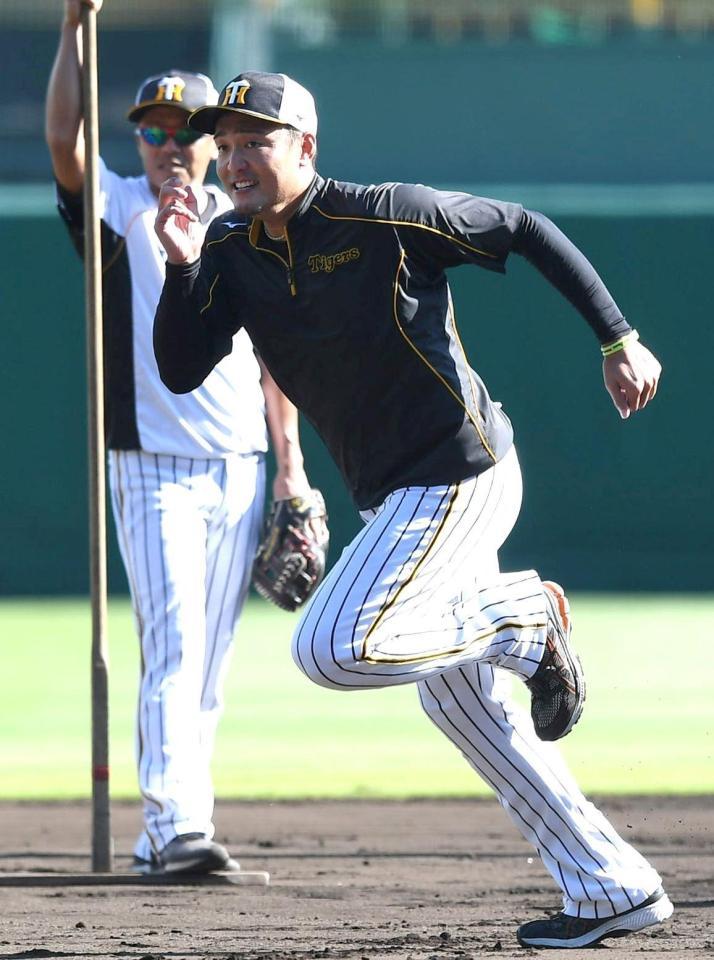 走塁練習する阪神・秋山＝甲子園（撮影・北村雅宏）