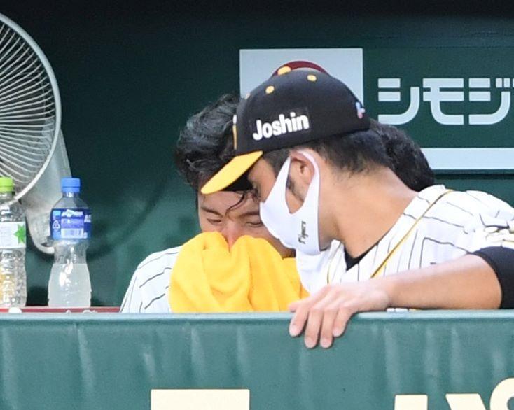 ５回、１１失点で途中降板した阪神・藤浪はベンチでうなだれる＝甲子園（撮影・田中太一）