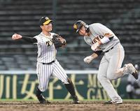 ８回、亀井の打球を好捕し素早く本塁へ送球する糸原（撮影・飯室逸平）