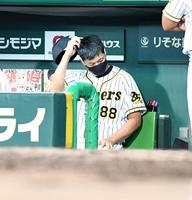 ベンチで頭をかく阪神・矢野燿大監督＝甲子園（撮影・飯室逸平）