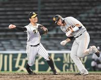 　８回、亀井の打球を好捕し素早く本塁へ送球する糸原