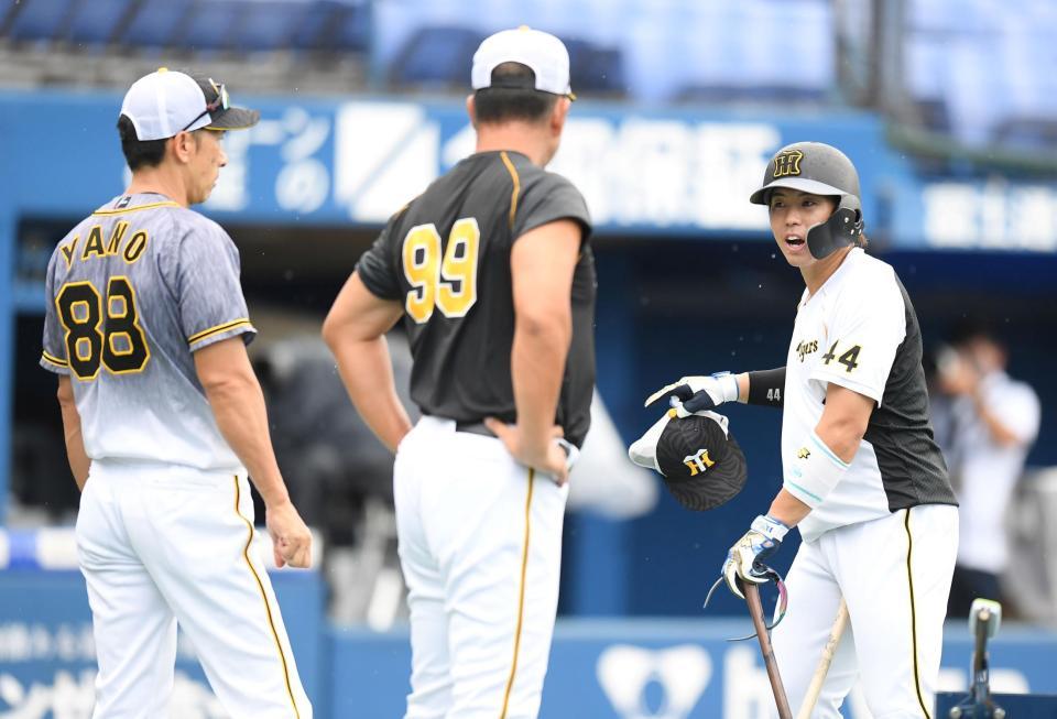　矢野監督（左）と話す梅野（撮影・中田匡峻）