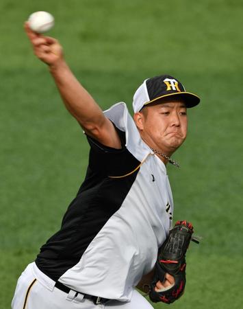 登板に備え、キャッチボールで調整する阪神・斎藤＝横浜スタジアム（撮影・西岡正）