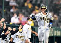 　８回、ソロを放ち、ベンチ前で満面の笑みを見せる梅野